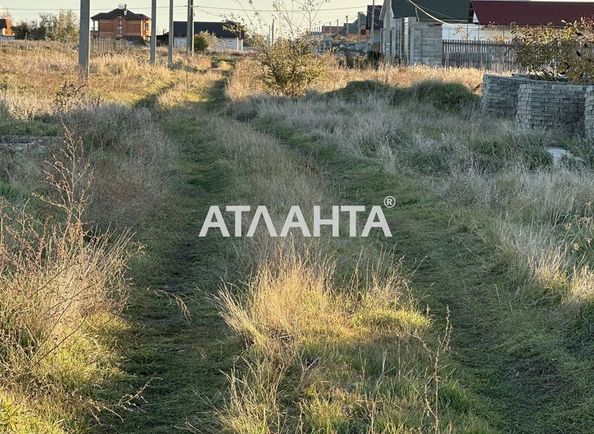 Landplot by the address st. Dachnaya (area 10 acr) - Atlanta.ua - photo 4