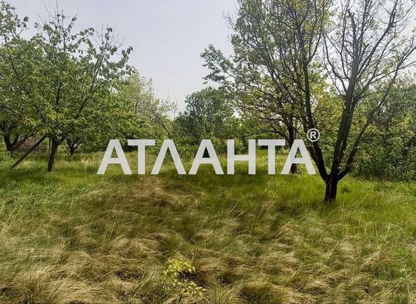 Landplot by the address (area 6,3 acr) - Atlanta.ua - photo 2