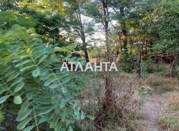 Landplot by the address (area 16,6 acr) - Atlanta.ua - photo 3