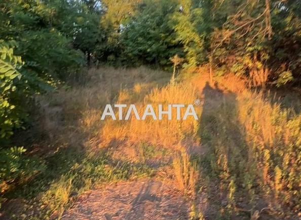 Landplot by the address (area 16,6 acr) - Atlanta.ua - photo 4