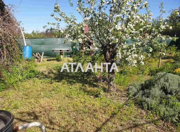 Dacha by the address st. Sadovaya (area 48 m²) - Atlanta.ua - photo 3