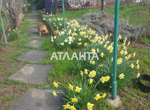 Dacha by the address st. Sadovaya (area 48 m²) - Atlanta.ua - photo 4