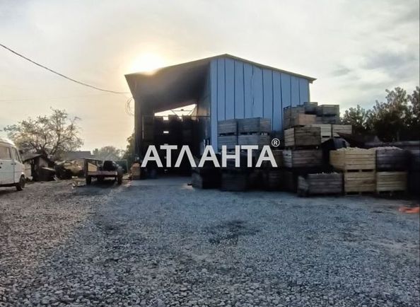 Ділянка за адресою вул. Матросова (площа 50 сот) - Atlanta.ua - фото 11