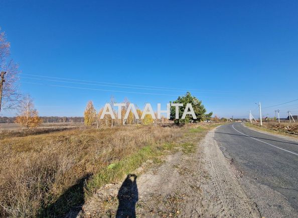 Участок по адресу (площадь 300 сот) - Atlanta.ua