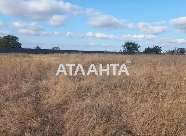 Landplot by the address st. Osnovyanenko kvitki (area 10 acr) - Atlanta.ua