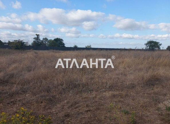 Landplot by the address st. Osnovyanenko kvitki (area 10 acr) - Atlanta.ua - photo 2