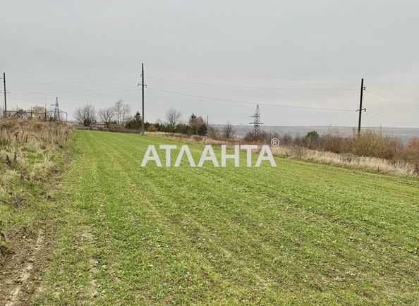 Участок по адресу ул. Центральная (площадь 16 сот) - Atlanta.ua