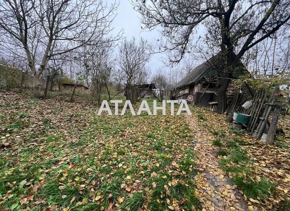Landplot by the address st. Druzhby (area 63 acr) - Atlanta.ua - photo 2
