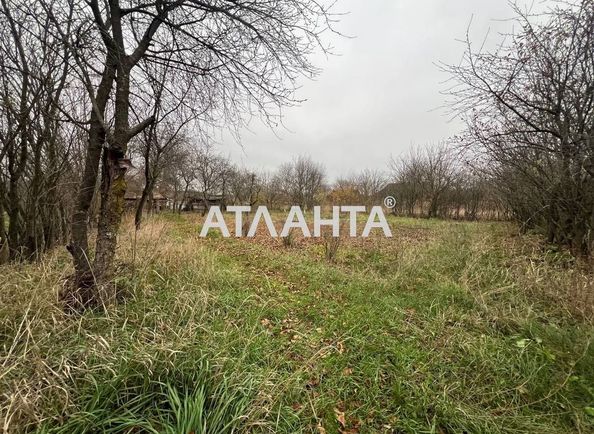 Landplot by the address st. Druzhby (area 63 acr) - Atlanta.ua - photo 3