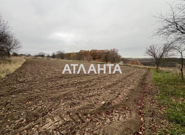 Landplot by the address st. Druzhby (area 63 acr) - Atlanta.ua - photo 4