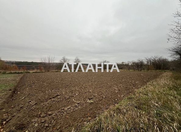 Landplot by the address st. Druzhby (area 63 acr) - Atlanta.ua - photo 5