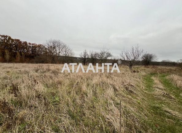 Landplot by the address st. Druzhby (area 63 acr) - Atlanta.ua - photo 7