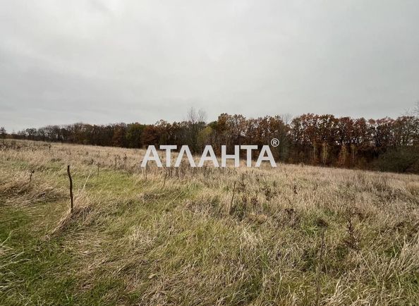 Landplot by the address st. Druzhby (area 63 acr) - Atlanta.ua - photo 8