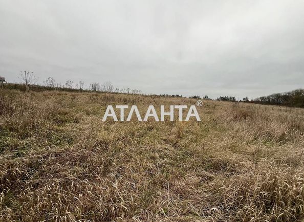 Landplot by the address st. Druzhby (area 63 acr) - Atlanta.ua - photo 9