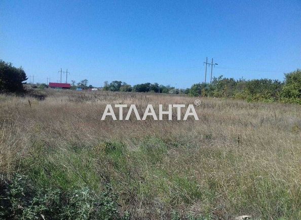 Landplot by the address st. Massiv 56 (area 25 acr) - Atlanta.ua - photo 4