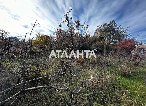 Landplot by the address st. Sadovaya (area 15 acr) - Atlanta.ua - photo 5