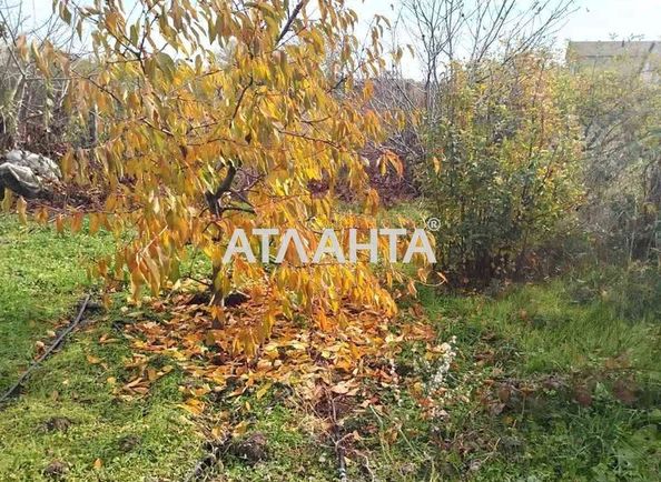Ділянка за адресою вул. Українки Лесі (площа 15 сот) - Atlanta.ua - фото 5