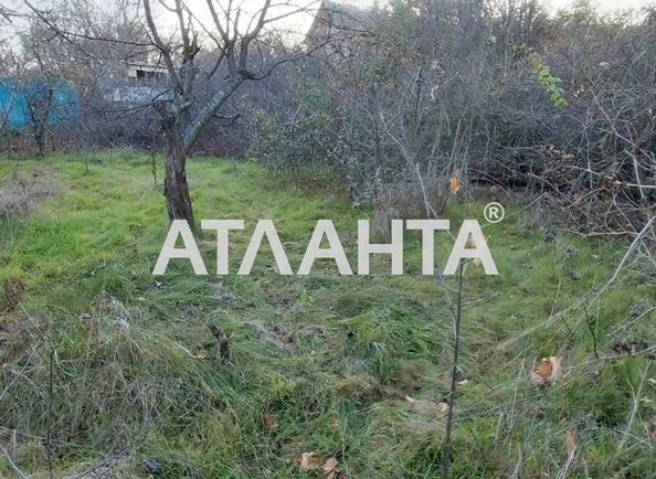 Ділянка за адресою вул. Mock (площа 6 сот) - Atlanta.ua
