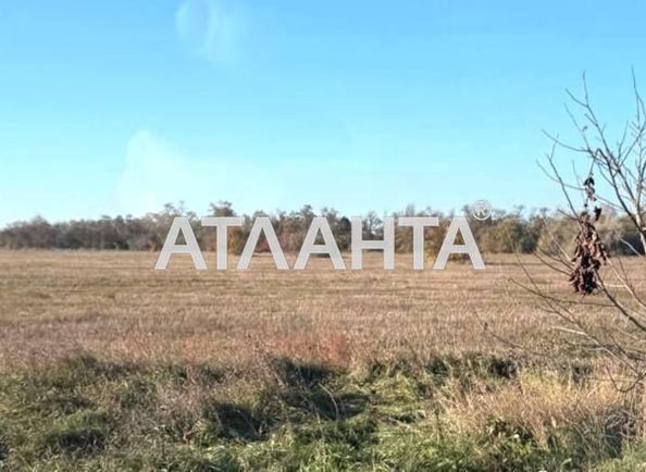 Ділянка за адресою (площа 25 сот) - Atlanta.ua