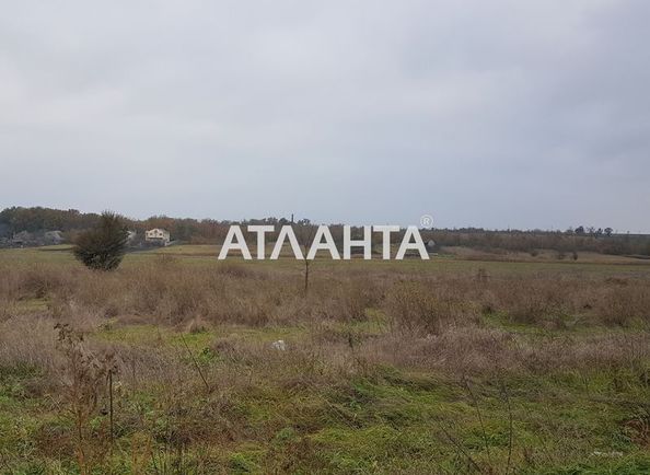 Landplot by the address st. Ilichevskaya dor (area 107,5 acr) - Atlanta.ua - photo 3