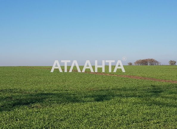 Landplot by the address st. Ilichevskaya dor (area 200 acr) - Atlanta.ua