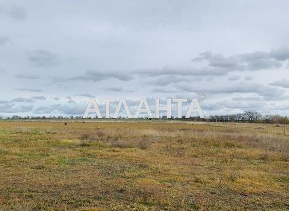 Участок по адресу ул. Молодежная (площадь 15 сот) - Atlanta.ua - фото 2