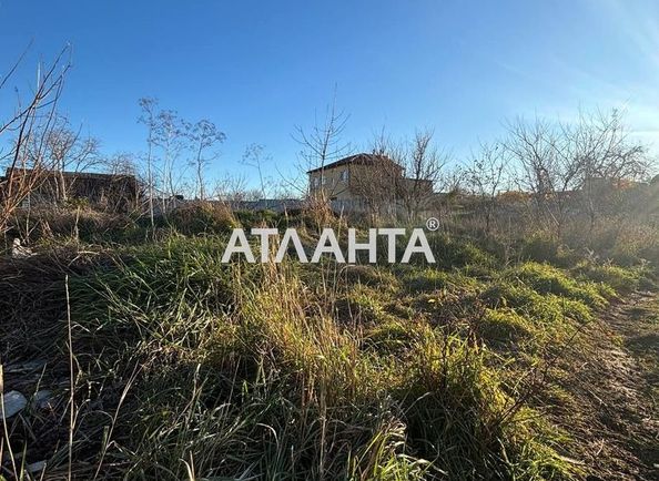 Ділянка за адресою вул. Центральна (площа 5,5 сот) - Atlanta.ua - фото 4