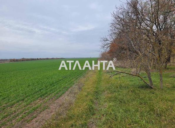 Участок (площадь 130 сот) - Atlanta.ua