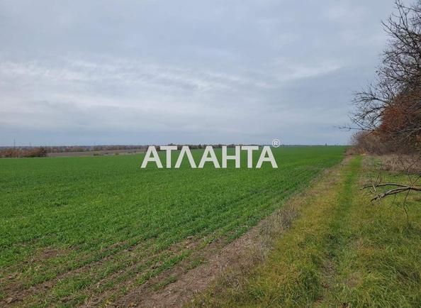 Участок (площадь 130 сот) - Atlanta.ua - фото 2