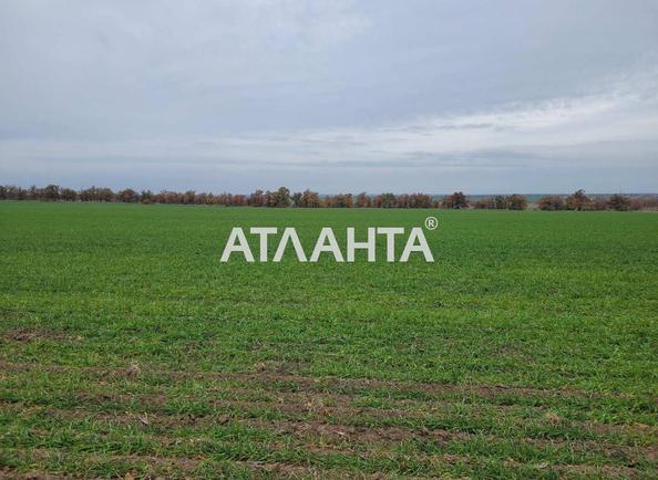 Участок (площадь 130 сот) - Atlanta.ua - фото 3