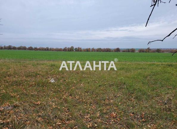 Участок (площадь 130 сот) - Atlanta.ua - фото 4