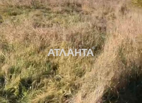 Участок по адресу ул. Массив №20 (площадь 6 сот) - Atlanta.ua