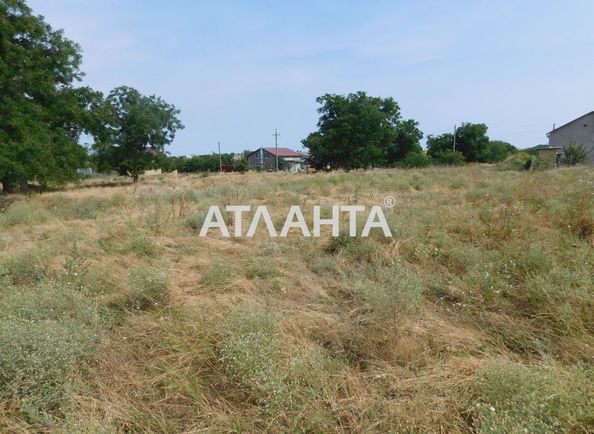 Landplot by the address st. Glavnaya (area 8 acr) - Atlanta.ua - photo 3