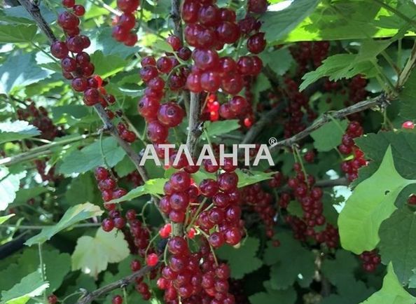 House by the address st. Kolesnichenko (area 160 m²) - Atlanta.ua - photo 22