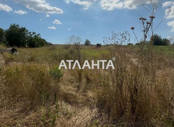 Landplot by the address st. Shevchenko (area 13 acr) - Atlanta.ua - photo 3