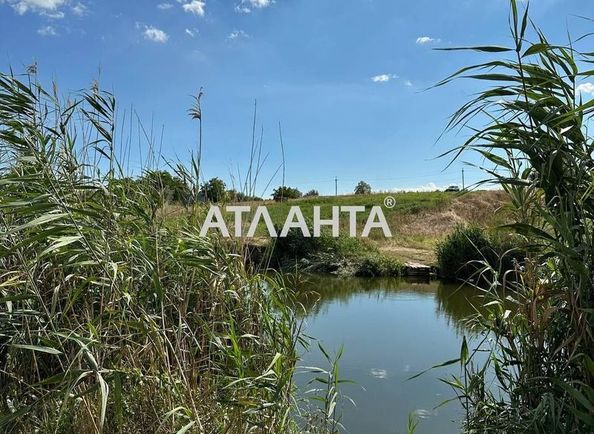 Landplot by the address st. Shevchenko (area 13 acr) - Atlanta.ua - photo 6
