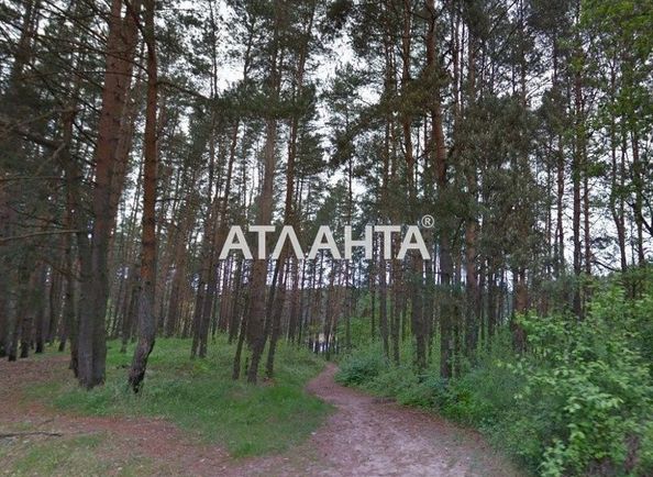 Landplot by the address (area 10 acr) - Atlanta.ua - photo 2