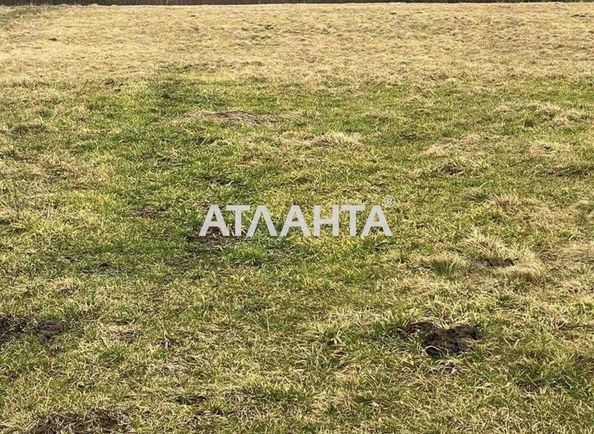 Landplot by the address (area 24 acr) - Atlanta.ua - photo 3