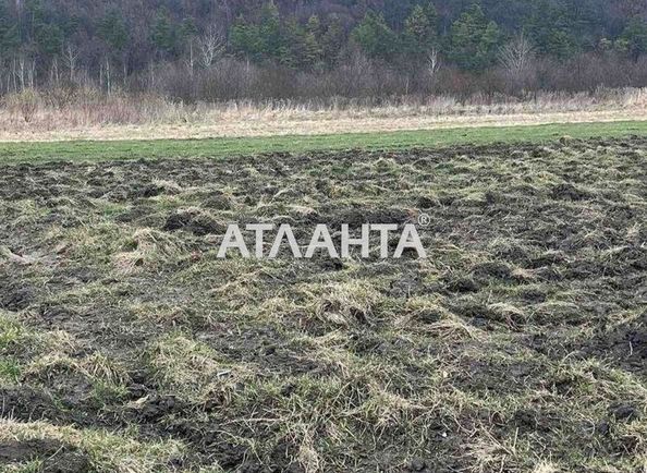 Landplot by the address (area 24 acr) - Atlanta.ua - photo 4