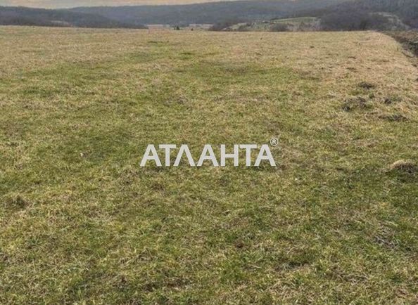 Landplot by the address (area 24 acr) - Atlanta.ua - photo 2