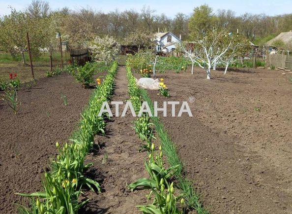 House by the address st. Vinogradnaya 50 let sov vlasti (area 72,8 m²) - Atlanta.ua - photo 7