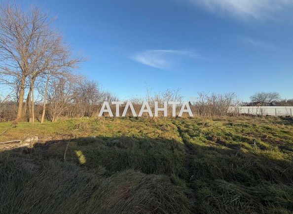 Ділянка за адресою вул. Економічна (площа 25 сот) - Atlanta.ua