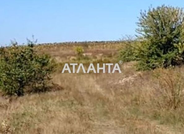 Landplot by the address (area 477 acr) - Atlanta.ua - photo 2