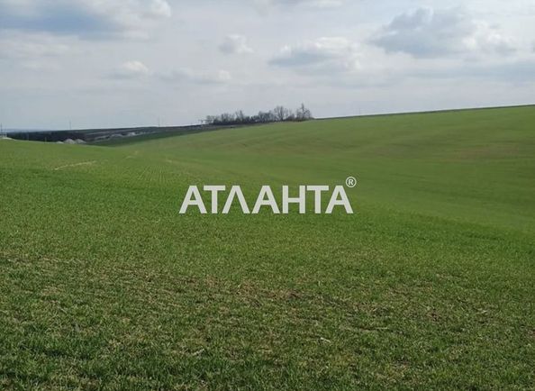 Landplot by the address (area 477 acr) - Atlanta.ua - photo 3