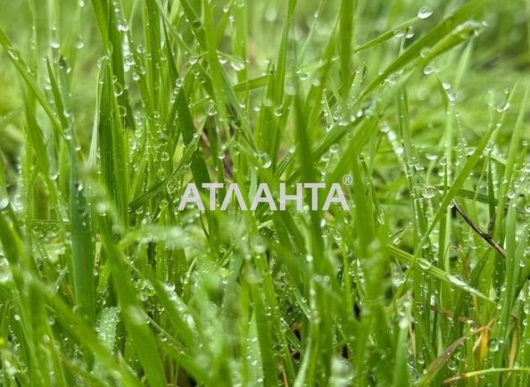 Landplot by the address st. Krasnykh zor per (area 7 acr) - Atlanta.ua
