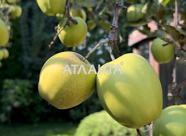 Landplot by the address st. Krasnykh zor per (area 7 acr) - Atlanta.ua - photo 2