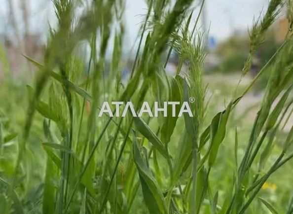 Landplot by the address st. Krasnykh zor per (area 7 acr) - Atlanta.ua - photo 3