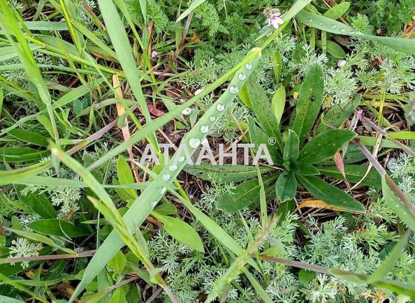 Landplot by the address st. Krasnykh zor per (area 7 acr) - Atlanta.ua - photo 5