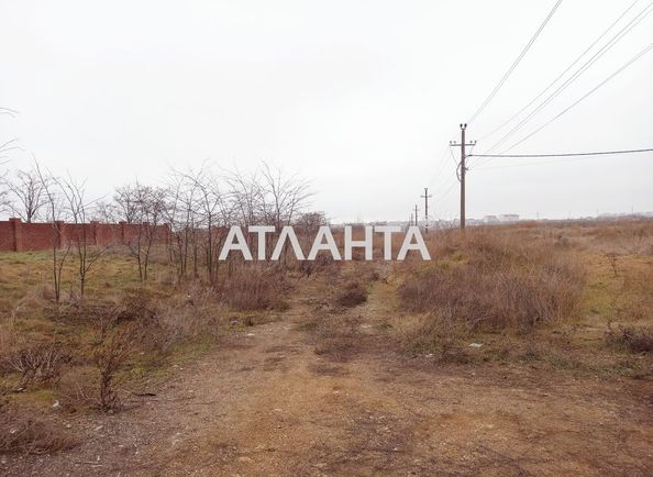 Landplot by the address st. Massiv 21 (area 10,0 acr) - Atlanta.ua - photo 6