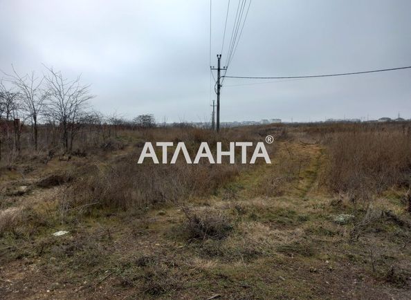 Landplot by the address st. Massiv 21 (area 5,0 acr) - Atlanta.ua - photo 3
